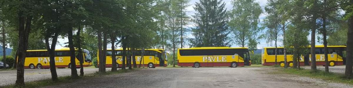 Pavle Reisen Omnibusunternehmen cover