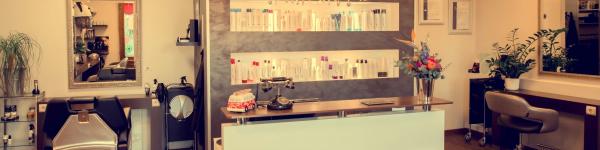 Salon Scherenschnitt cover image