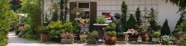 Wolfgang Weber Gartenbau Wolfgang Weber Gartenbau cover image